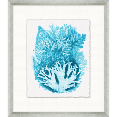 Cyan Coral Collection 4 - Peinture encadrée sur papier