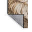  Tapis lavable chats persans-1554885453