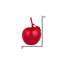 Sculpture Rosenblatt-27288882