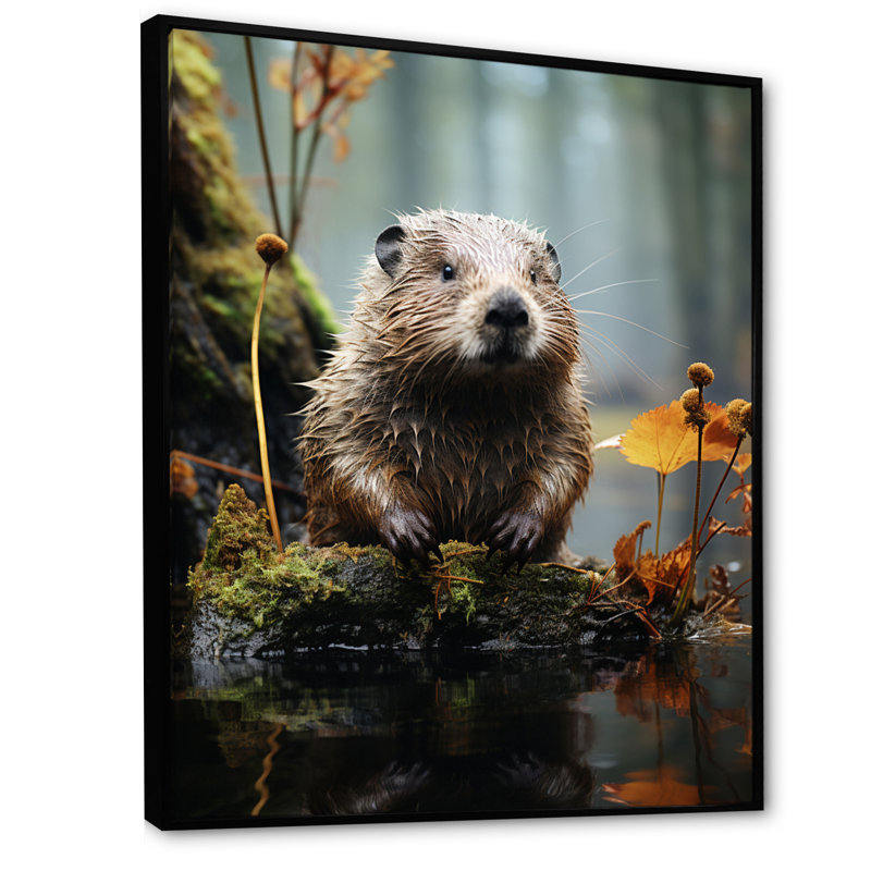 «Augustinas Beaver Animal», photographie sur toile, H 20 po x l 12 po x P 1 po, Noir