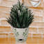 Pot en bambou à feuilles rondes et bambou 7 "Bamboo Blooms-94209016