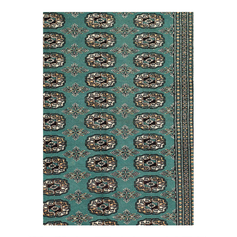Tapis Bokhara fin noué à la main 4 pi 1 po x 5 pi 7 po