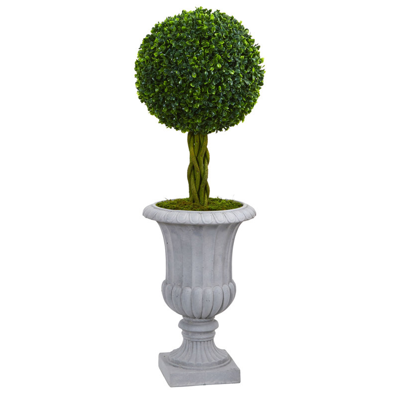 Braided Boxwood Tree in Urn UV Resistant