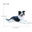 Statue de chien Nathan