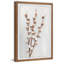 Cotton Plant 1 Piece Single Picture Frame Painting-1788567013