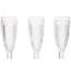 Sal 150ml Flute Set