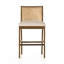 Antonia Cane Armless Counter & Bar Stool-1773133483-1773133484