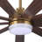 Babrak 65'' Ceiling Fan with LED Lights-779760962