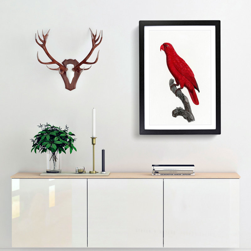 Cardinal Lory by F. Levaillant - Picture Frame Painting Print, 65cm H x 48cm W x 2cm D, Black Framed