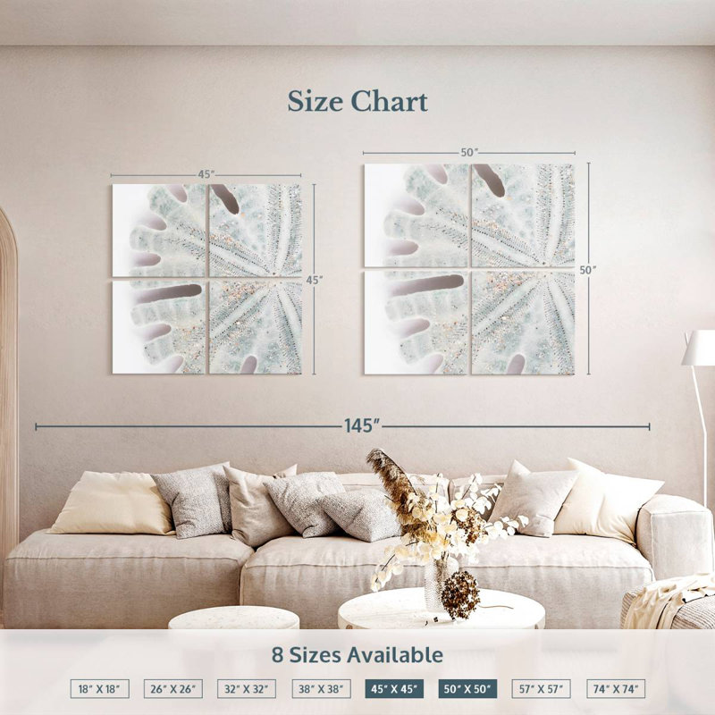 Brampt Florida Sand Dollar IV, 50" H x 50" W