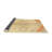 Oriental Indoor Rug-1796569965