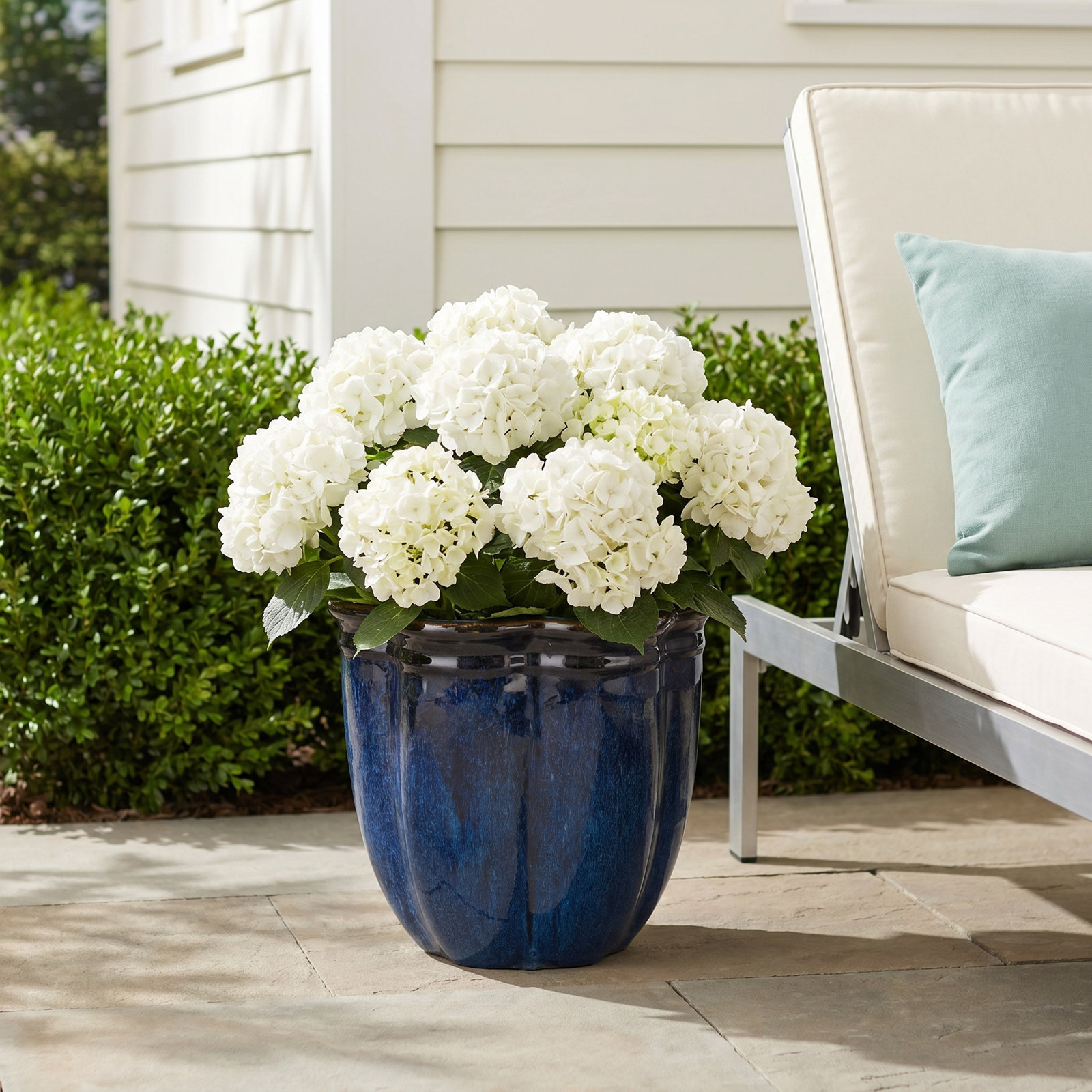 Prathersville 20" Ceramic Pot Planter, Blue, 10" H x 12" W x 12" D