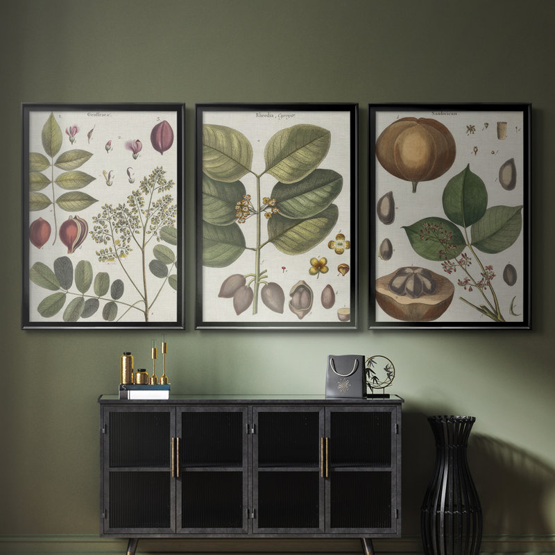 Exotic Botanique I - Toile tendue avec châssis sur mesure - 3 pièces, H 30 po x l 63 po, Noir, noir, noir, noir