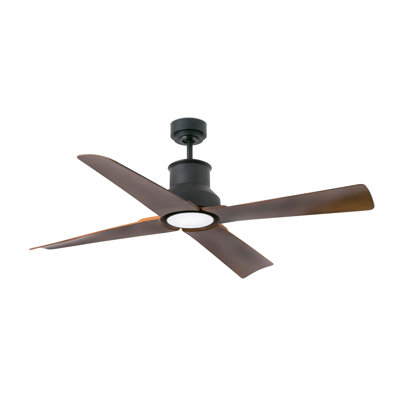 Ventilateur de plafond à DEL Winche