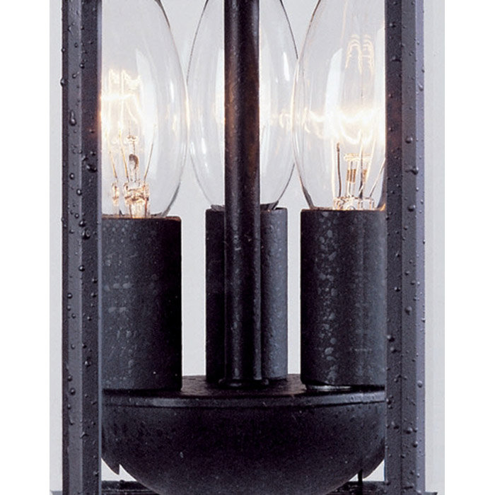 Brynne 3 -Bulb 13.75" H Outdoor Hanging Lantern in Textured Black, Textured Black
