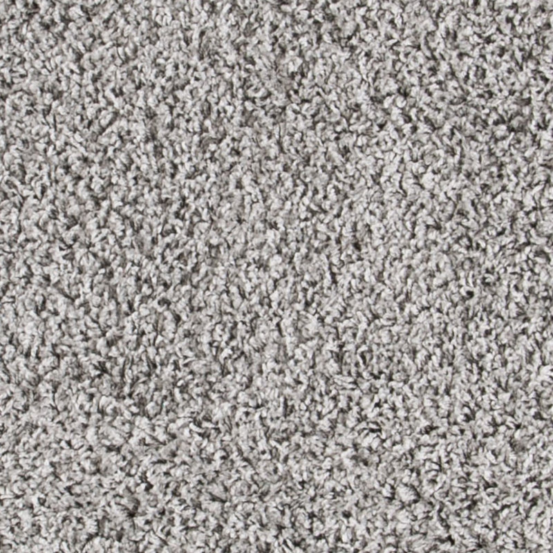 Schwanke Shag Performance Solid Color Rug, Rectangle 3' x 5'