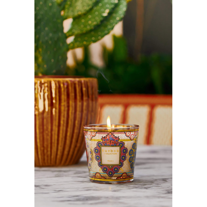 My First Baobab Candle Max08