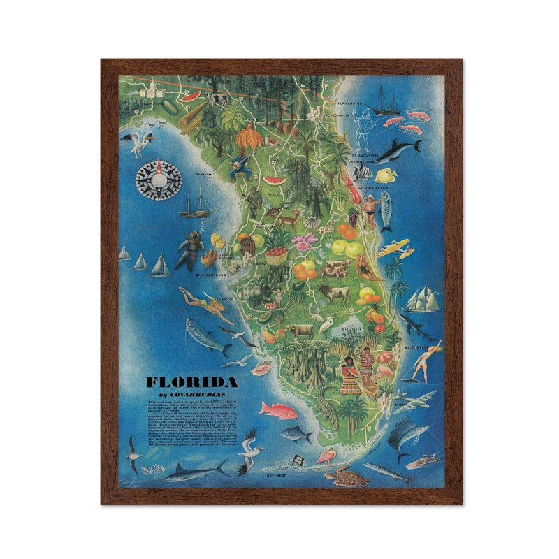 Carte de l'État de la Floride, Affiche, H 12 po x l 16 po, Brown Framed