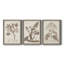 Antique sépia botanicals I - ensemble de 3 reproductions d'art sur toile-1241077290-1241077295