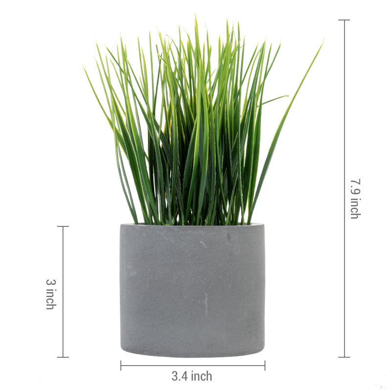 3 - Piece Artificial Onion Grass in Cement Pot Set