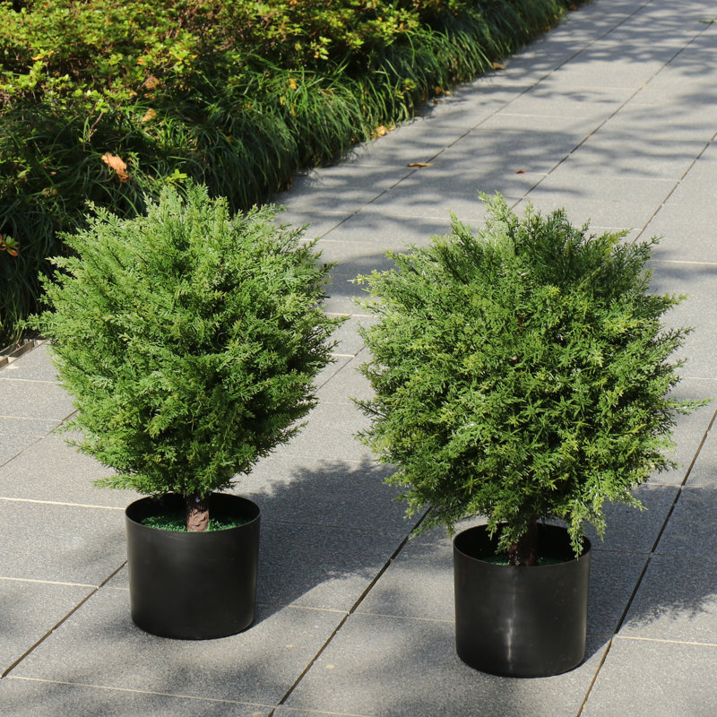 Faux cèdre 20 "en pot