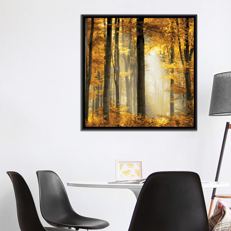 «Sunlit Forest II», impression sur toile, H 37 po x l 37 po x P 1,5 po, Toile avec cadre noir, Pas de tapis