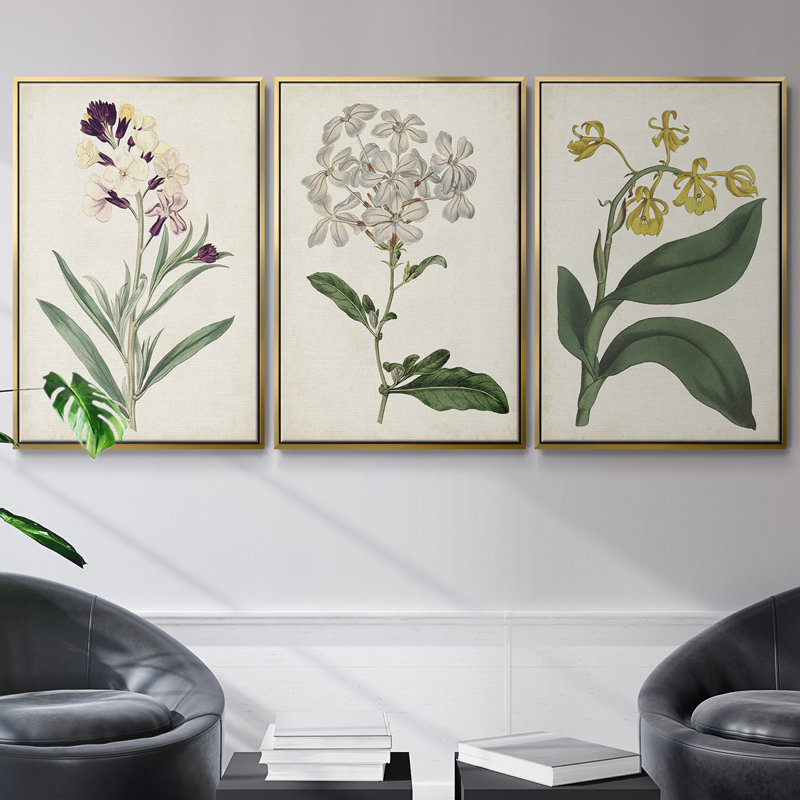 Ensemble de 3 pièces encadrées sur toile Antique Botanical Collection VII, Or, H 27 po x l 54 po