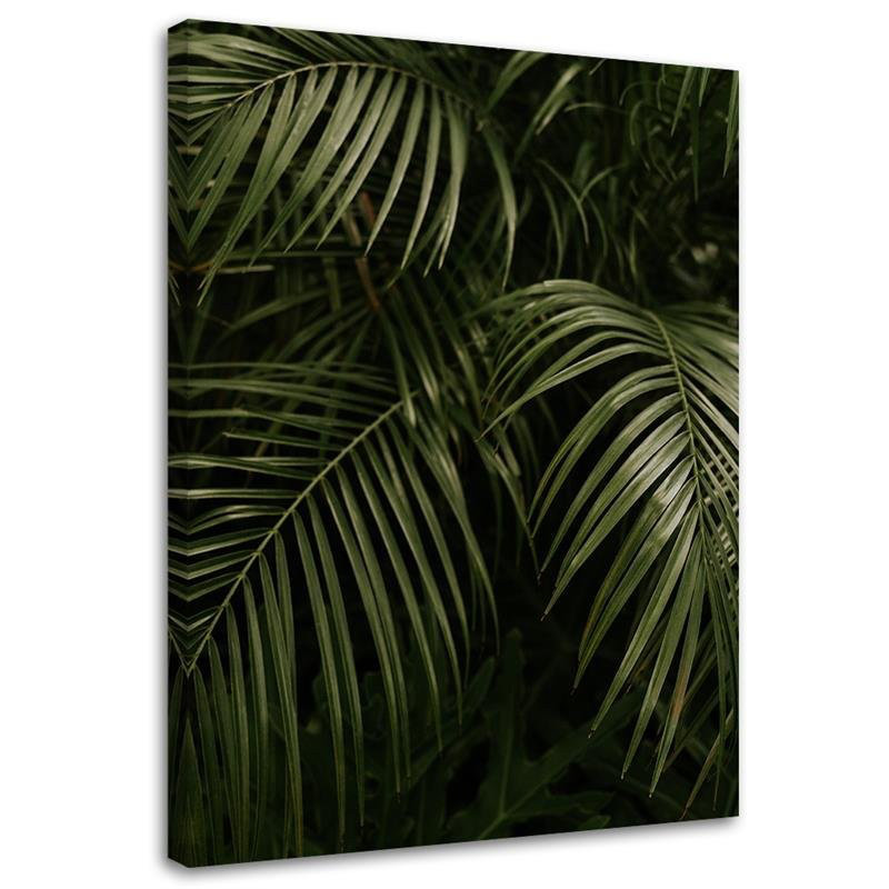 Leinwandbild Monstera Palm Leaves Botanical