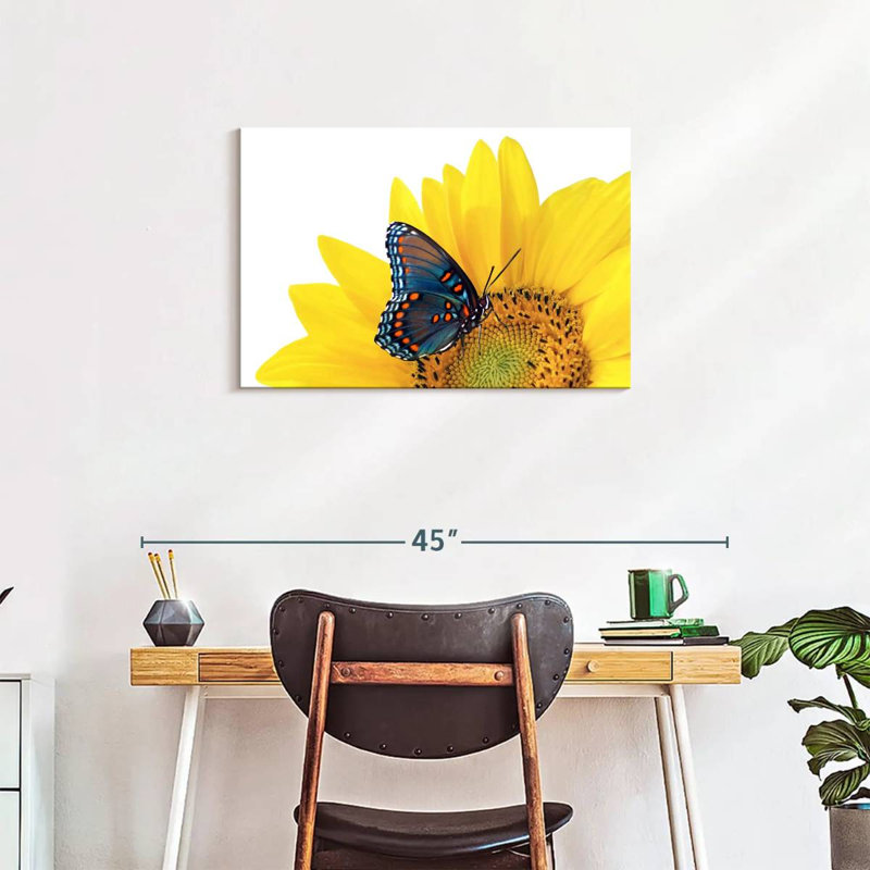 Tournesol Brampt avec papillon, H 20 po x l 30 po