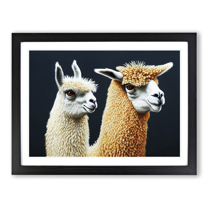 Enthralling Llamas - Single Picture Frame Print, 46cm H x 64cm W x 2cm D, Black 