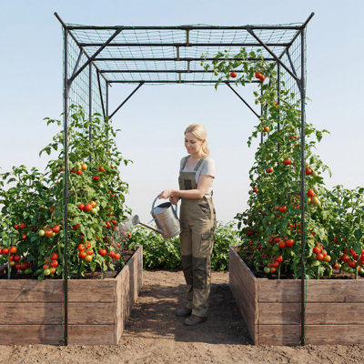 Heavy-Duty Metal Garden Arch Trellis Tunnel Arbor with Netting - PE-Coated Outdoor Walkway & Raised Bed Support for Climbing Vines, Cucumbers, Tomatoes, Grapes, Beans, Peas