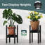 Plant Stand - Set of 3