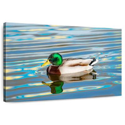 Duck Swimming On Lake