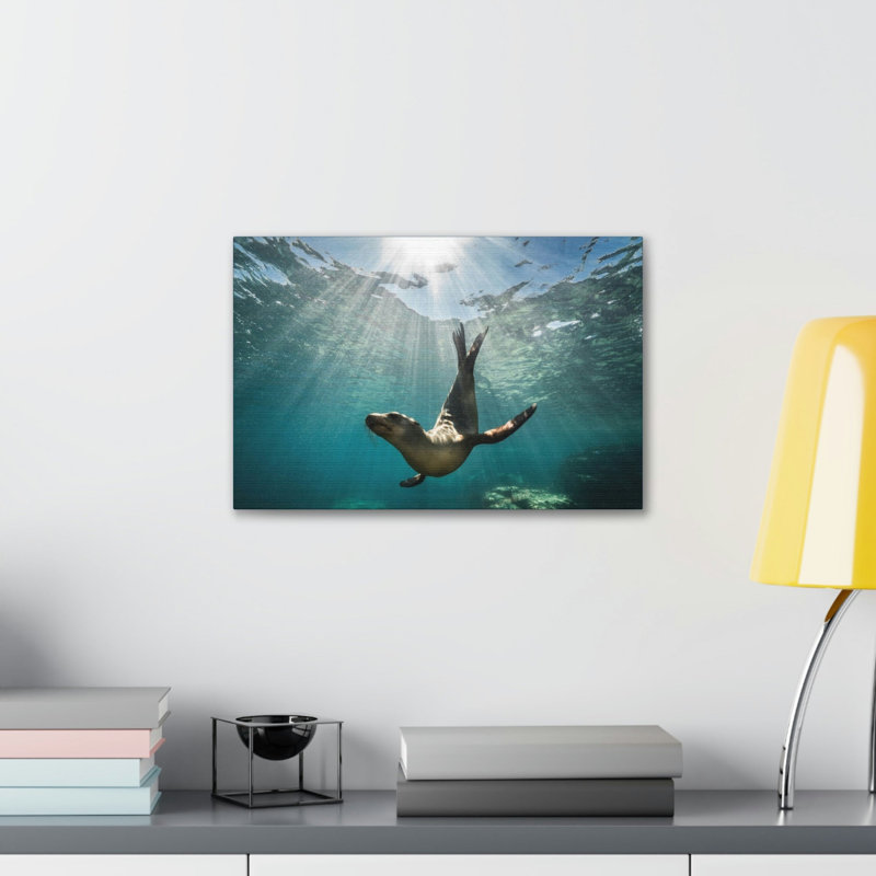 No Frame Print on Canvas, 27.94cm H x 35.56cm W