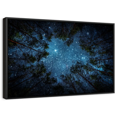 " Forest At Night Canvas Print "