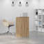 Stefhon Standing Desk-618553586