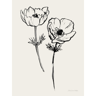 " Ink Anemones I Black " by Sara Zieve Miller