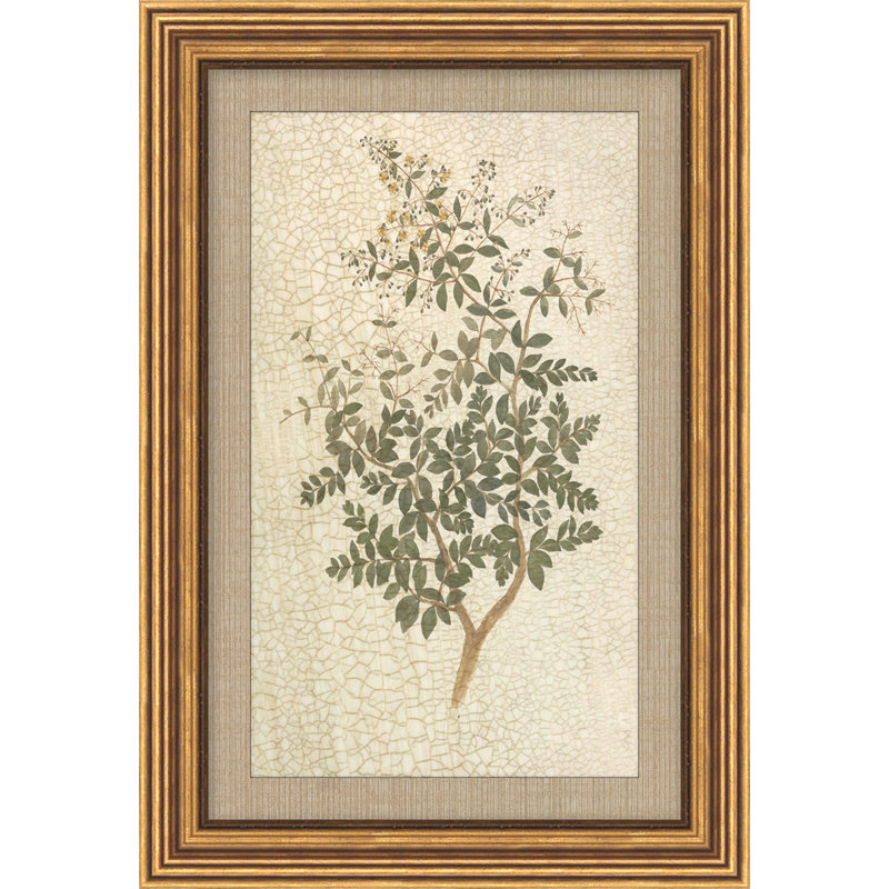 Vintage Wildflower
