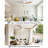 Jazimine 52'' Ceiling Fan with LED Lights