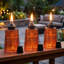 Torches Tiki Citronella-96269588
