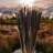 Flournoy Preserved Oat Grass Stem Bundle-474869452