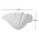 Shell Wall Sconce