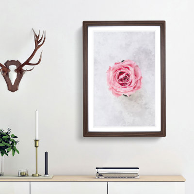 Lone Pink Rose - Framed Print