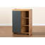 Armoire de rangement à chaussures 12 paires Merrick