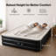 46cm Air Bed