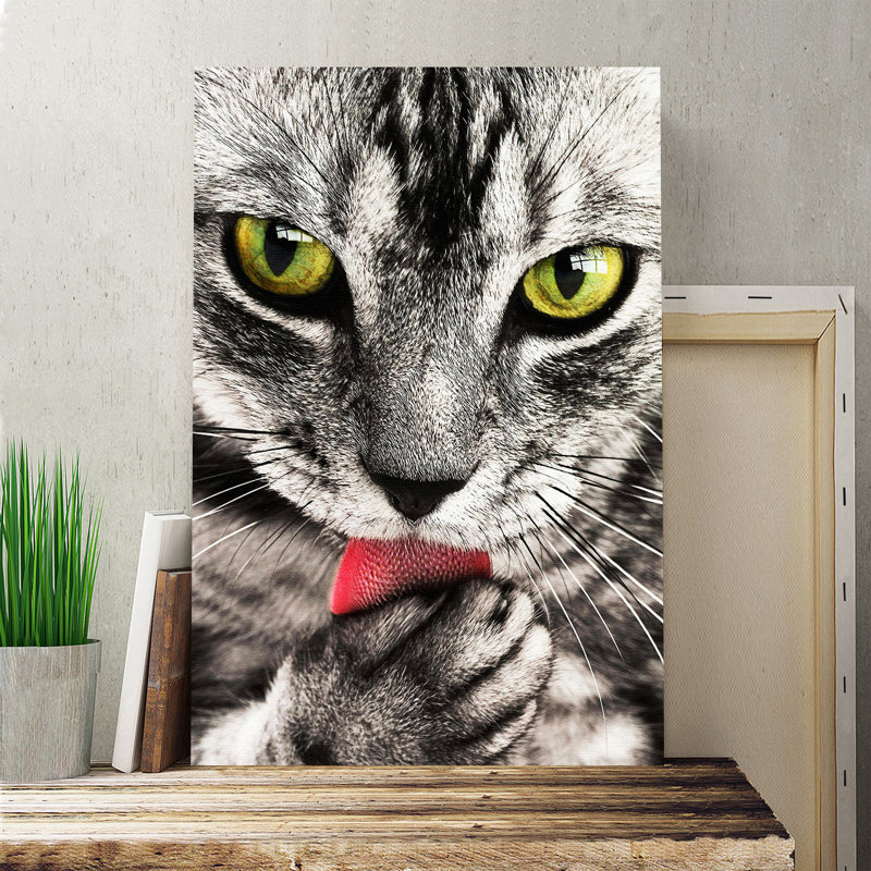 Tabby Licking Paw Photographic - Wrapped Canvas, 50cm H x 35cm W