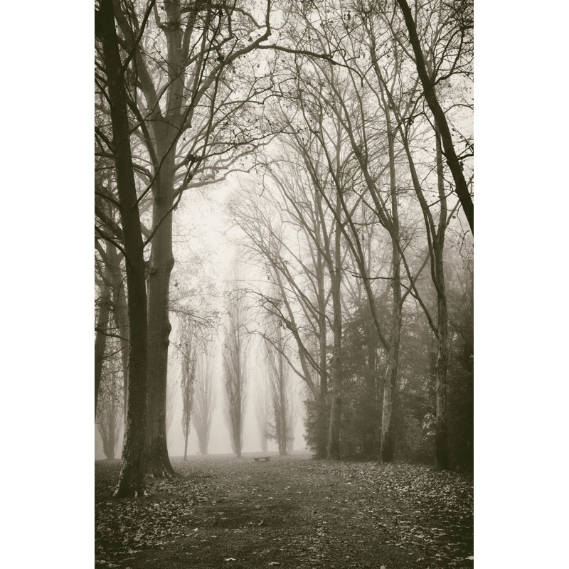 Trees In Fog I by Jody Stuart - Print on Canvas, 30cm H x 20cm W, Wrapped Canvas