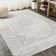Droitwich Ornate Bohemian Medallion Gray/Cream Rug
