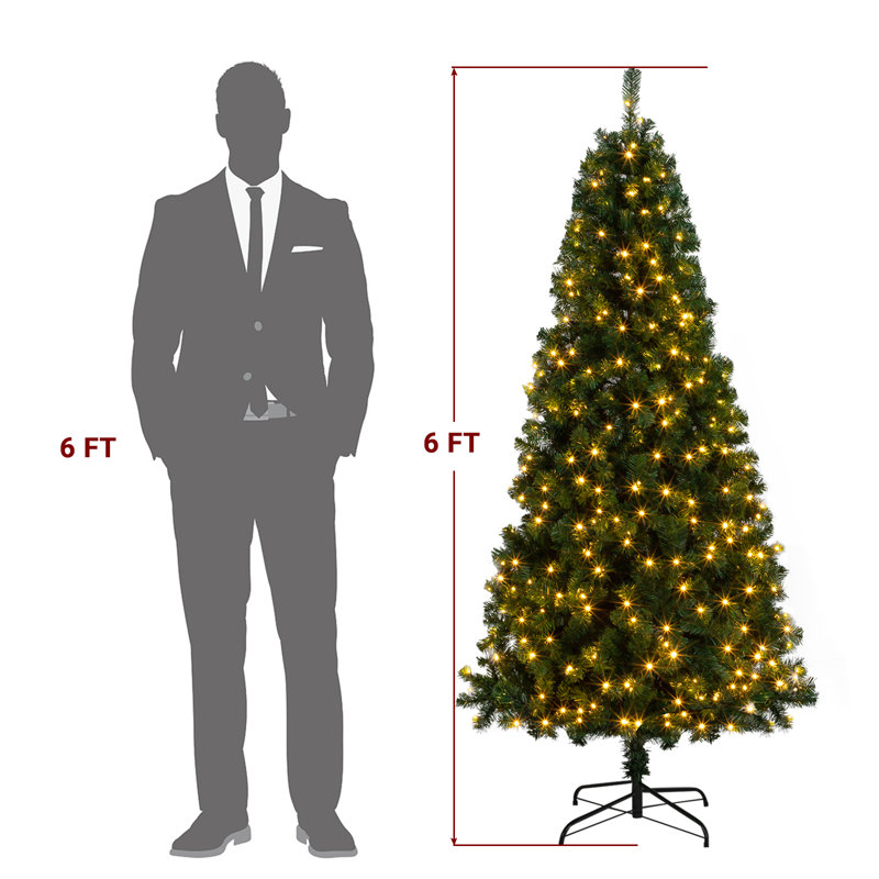 6' Lighted Pine Christmas Tree