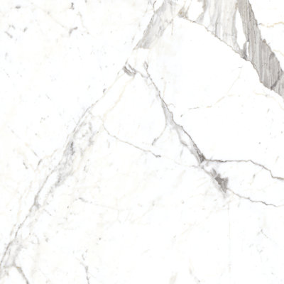 Magnifica 30" x 30" Porcelain  Marble Look Wall & Floor Tile